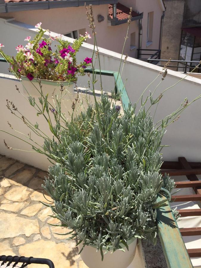 Apartment Elena Rooms سبليت المظهر الخارجي الصورة